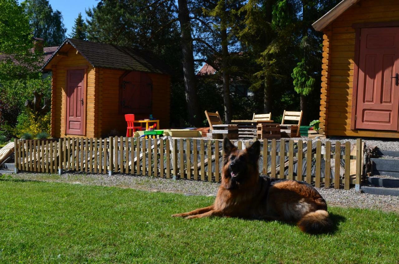 Domki Baigo Chmielno Bagian luar foto